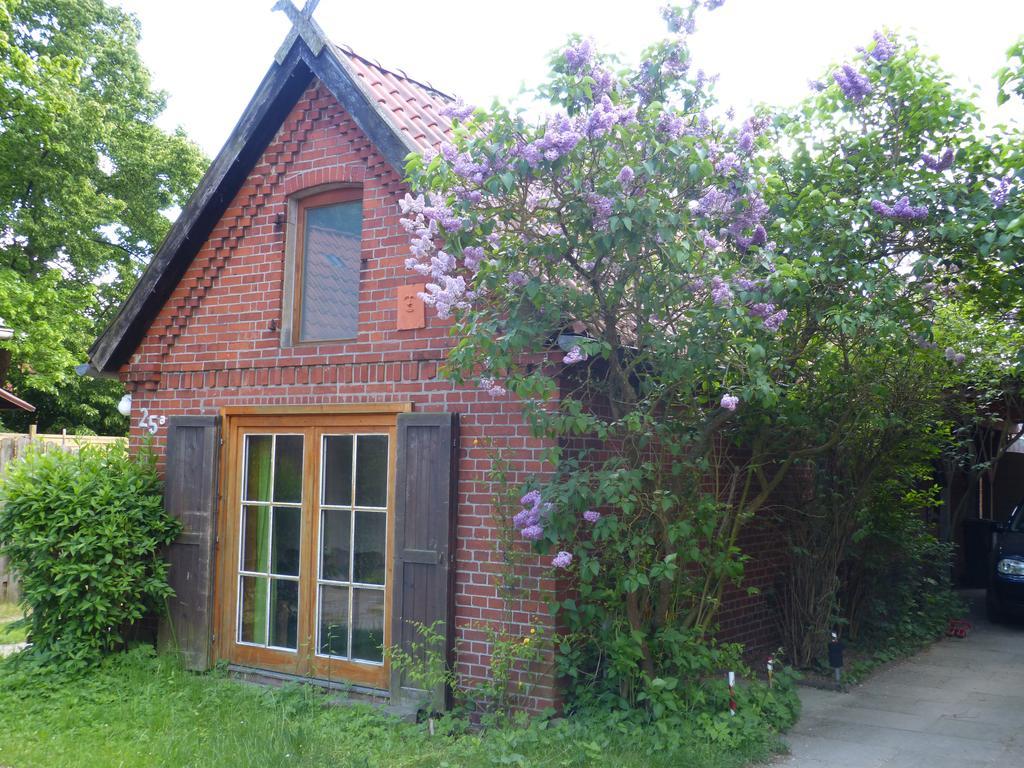 Ferienhaus Elbtalaue Bleckede Ruang foto